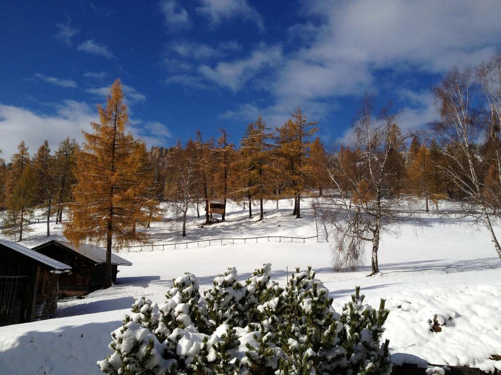 Landhaus Elke Reith bei Seefeld Dış mekan fotoğraf