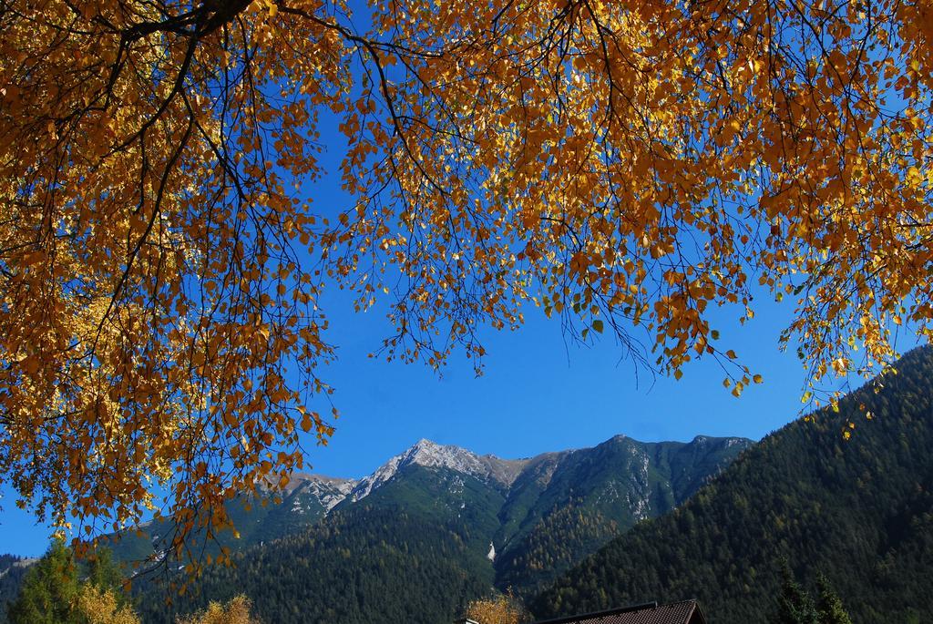 Landhaus Elke Reith bei Seefeld Dış mekan fotoğraf